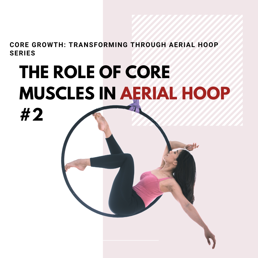 The Role of Core Muscles in Aerial Hoop