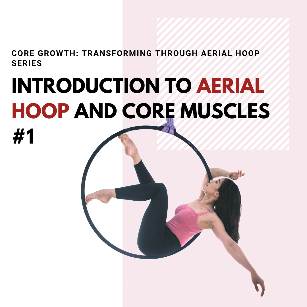 Introduction to Aerial Hoop and Core Muscles