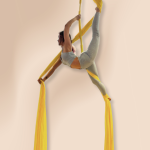 Aerial Silk is a performance art where studentss perform acrobatic moves on long, silk fabric hanging on ceiling, showcasing strength, flexibility, and grace.